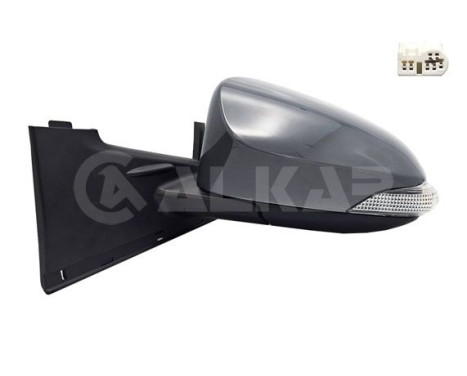 Rétroviseur extérieur 6139529 Alkar