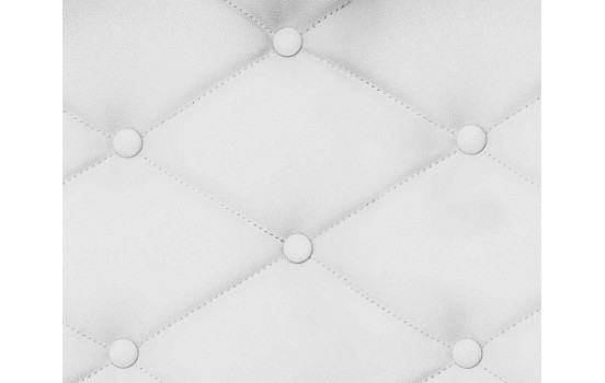 Foliatec Seat & Leather Color Spray - blanc mat, Image 4