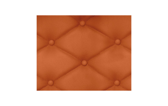 Foliatec Seat & Leather Color Spray - cognac mat, Image 4