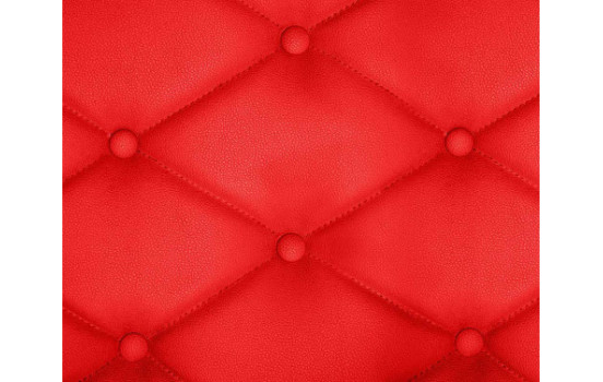 Foliatec Seat & Leather Color Spray - rouge mat, Image 4