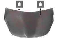 Bonnet