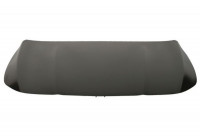 bonnet