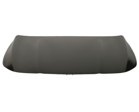 bonnet