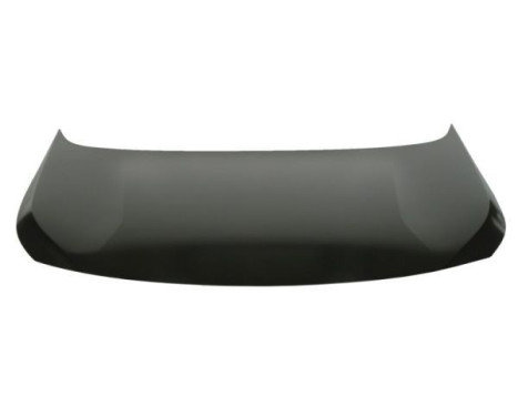 bonnet
