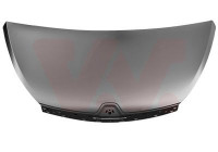 Bonnet