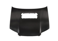 Bonnet