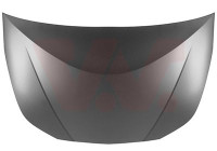 Bonnet