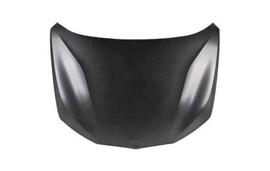Bonnet