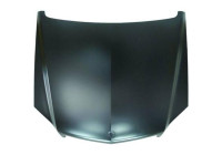 Bonnet