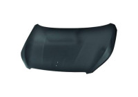 Bonnet