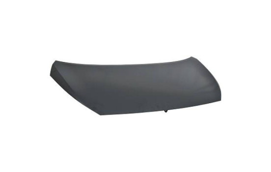 Bonnet
