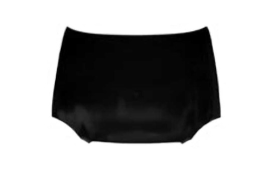 CAPOT MOTEUR de '99, Image 2