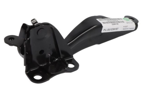 Charnière, capot, Image 2