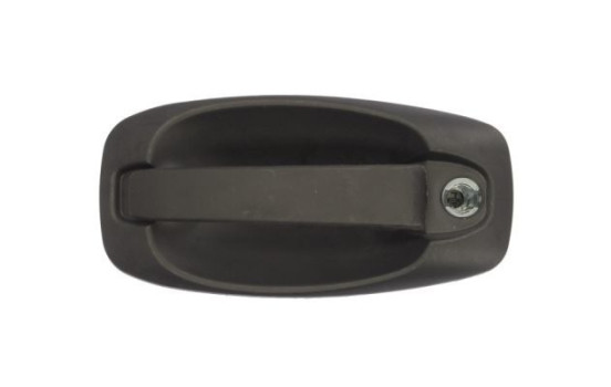 Poignée de porte extérieure