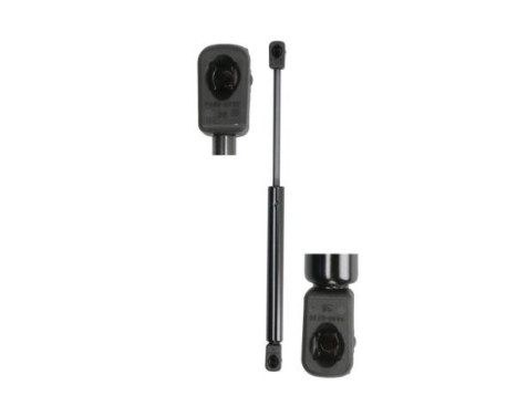 Vérin à gaz, capot