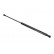 Vérin de hayon, de coffre GS0100 Magneti Marelli