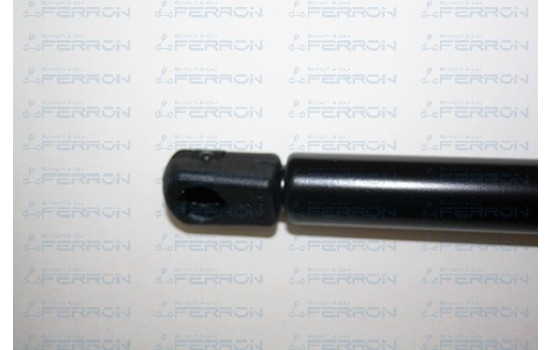 CAPOT XM/CAPOT SAFRANE, Image 3