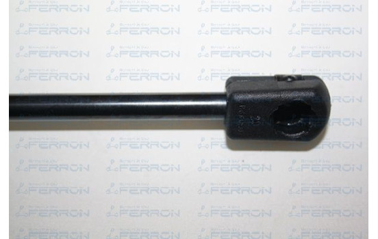 CLIO, Image 2