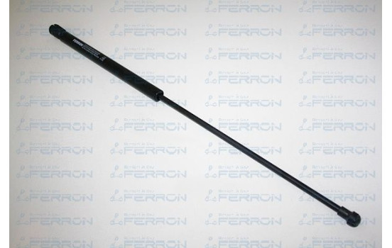 LOT DE 2 VERINS C4 5 PORTES, Image 2