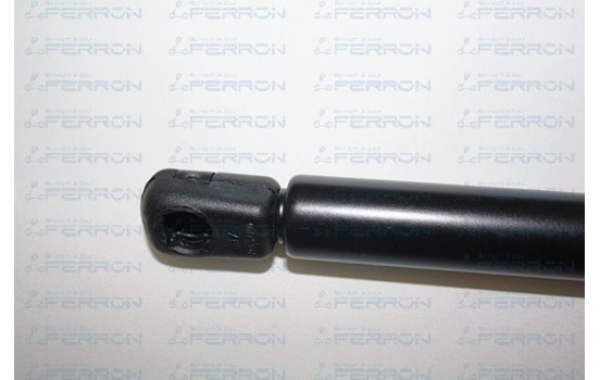 LOT DE 2 VERINS C4 5 PORTES, Image 4