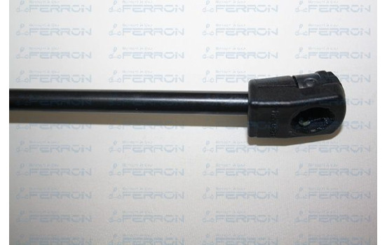 ZAFIRA, Image 2