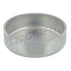 Core plugs