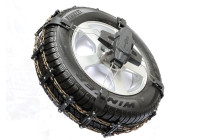 Spikes Spider Easy Sport 2