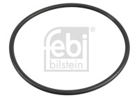 Tätningsring, hjulnav