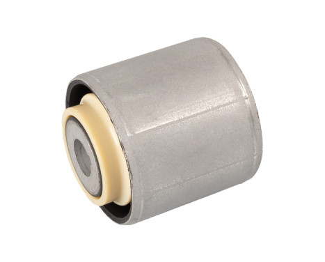 Fäste, differential