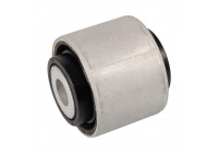 Fäste, differential