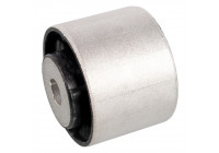 Fäste, differential