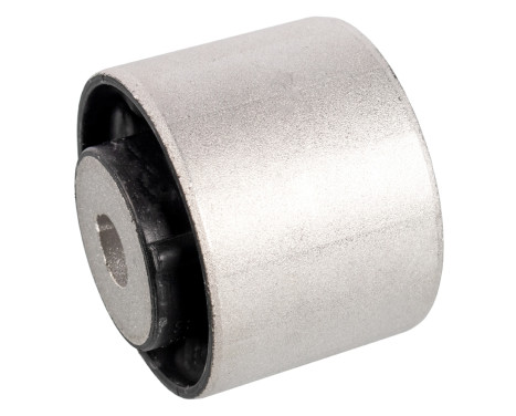 Fäste, differential