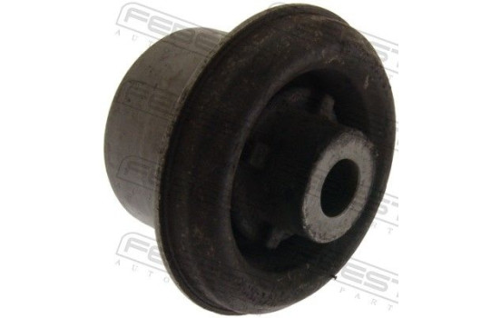 Fäste, differential