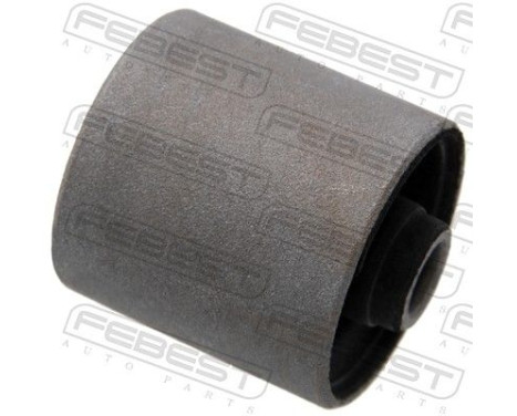 Fäste, differential