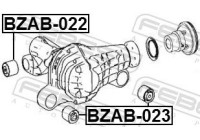Fäste, differential