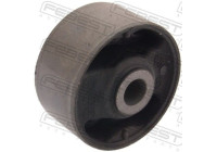 Fäste, differential