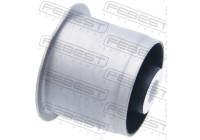 Fäste, differential