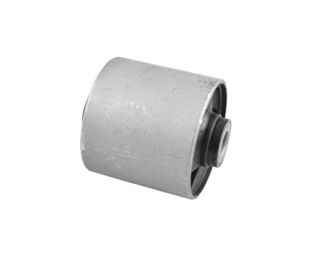 Fäste, differential