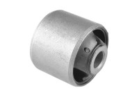 Fäste, differential