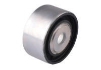 Fäste, differential