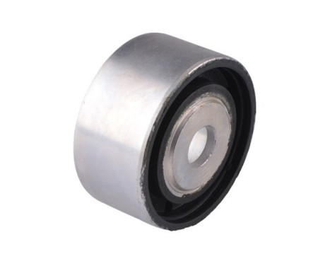 Fäste, differential