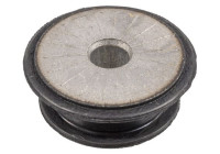 axelkroppens lager