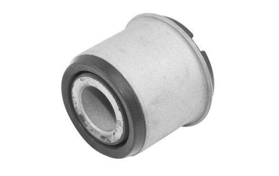 Upphängning, axelstomme