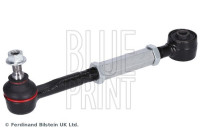 armben ADBP860117 Blue Print