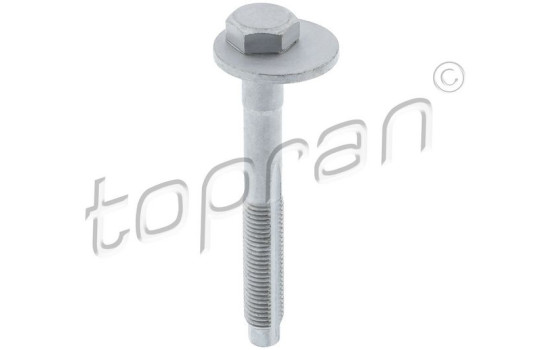 Inställningsskruv, camber 119 041 Topran