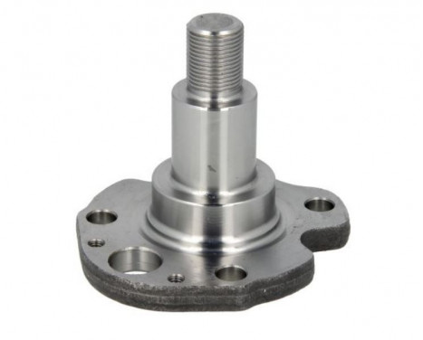 Spindelbult, hjulupphängning MEYLE-ORIGINAL Quality 100 501 0029