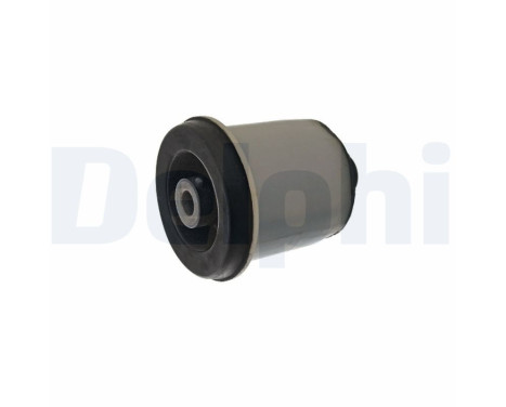 Kontrollarmsgummi TD2048W Delphi