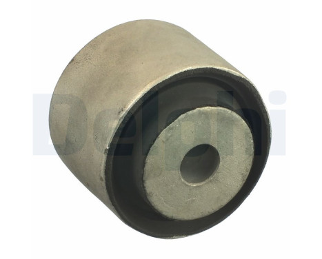 Upphängning, axelstomme TD1011W Delphi