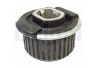 Upphängning, axelstomme TD599W Delphi