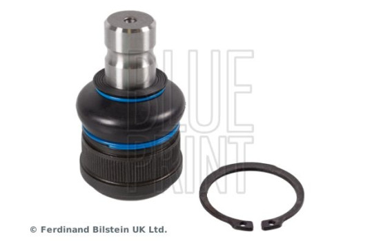 Kulled ADBP860001 Blue Print